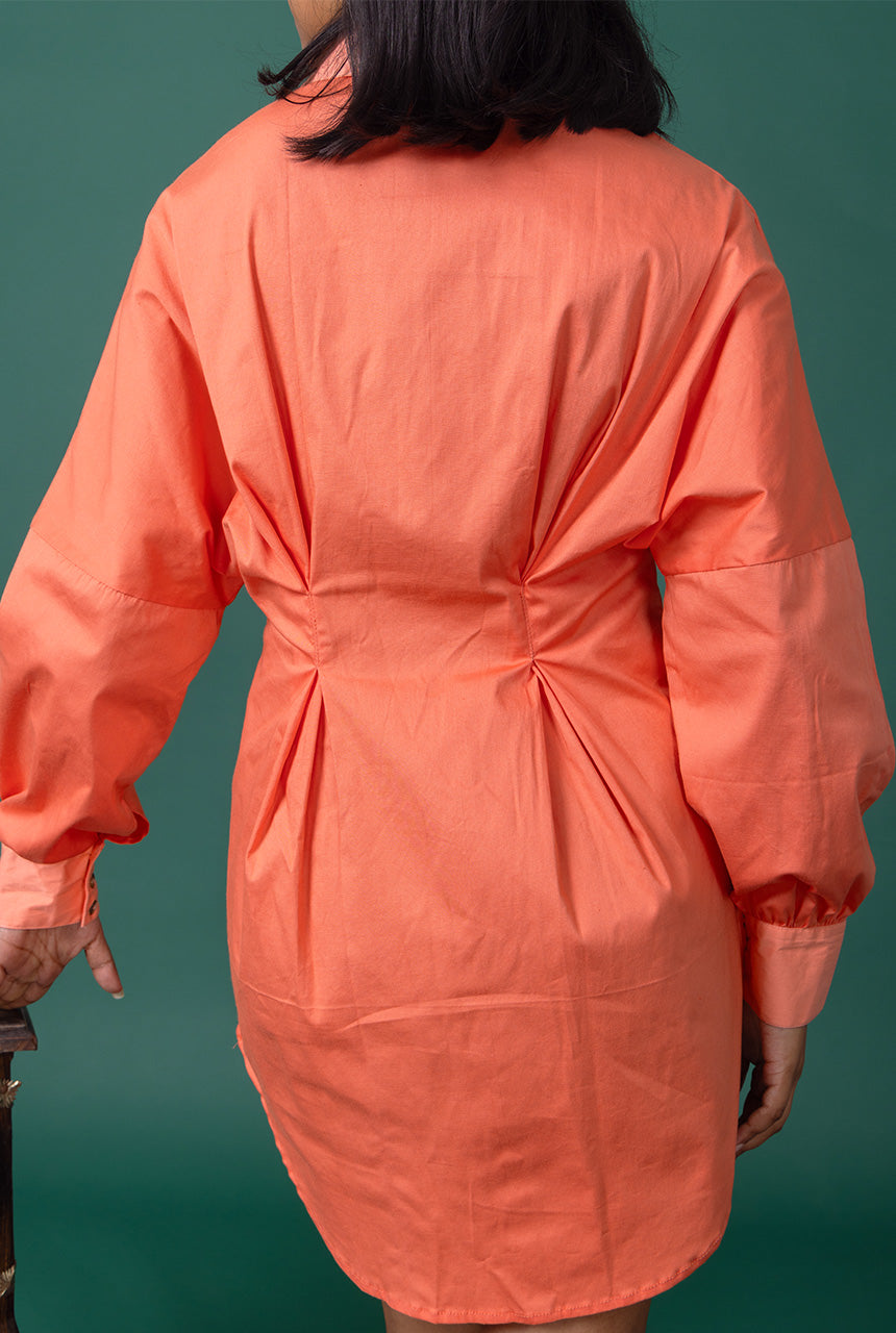 Rose Shirt Dress