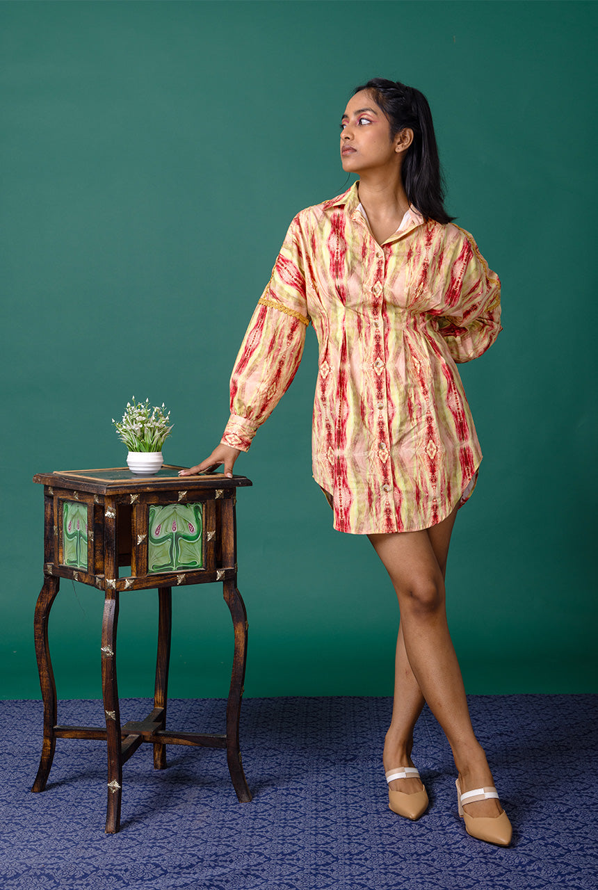 Auroral Shirt Dress