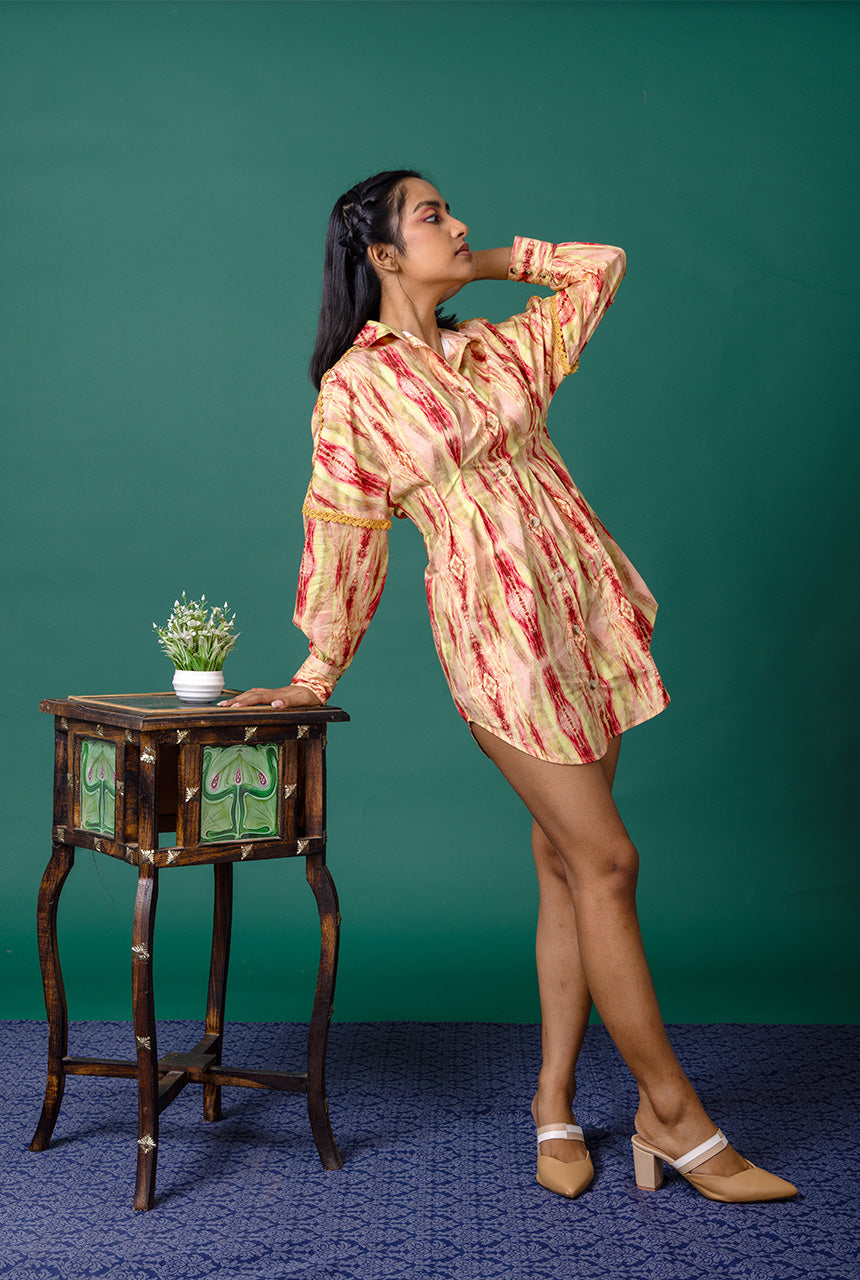 Auroral Shirt Dress