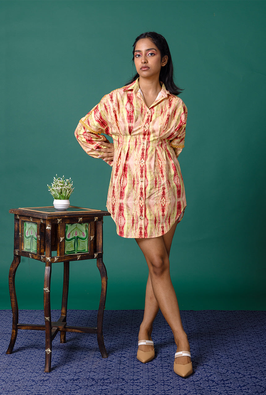 Auroral Shirt Dress