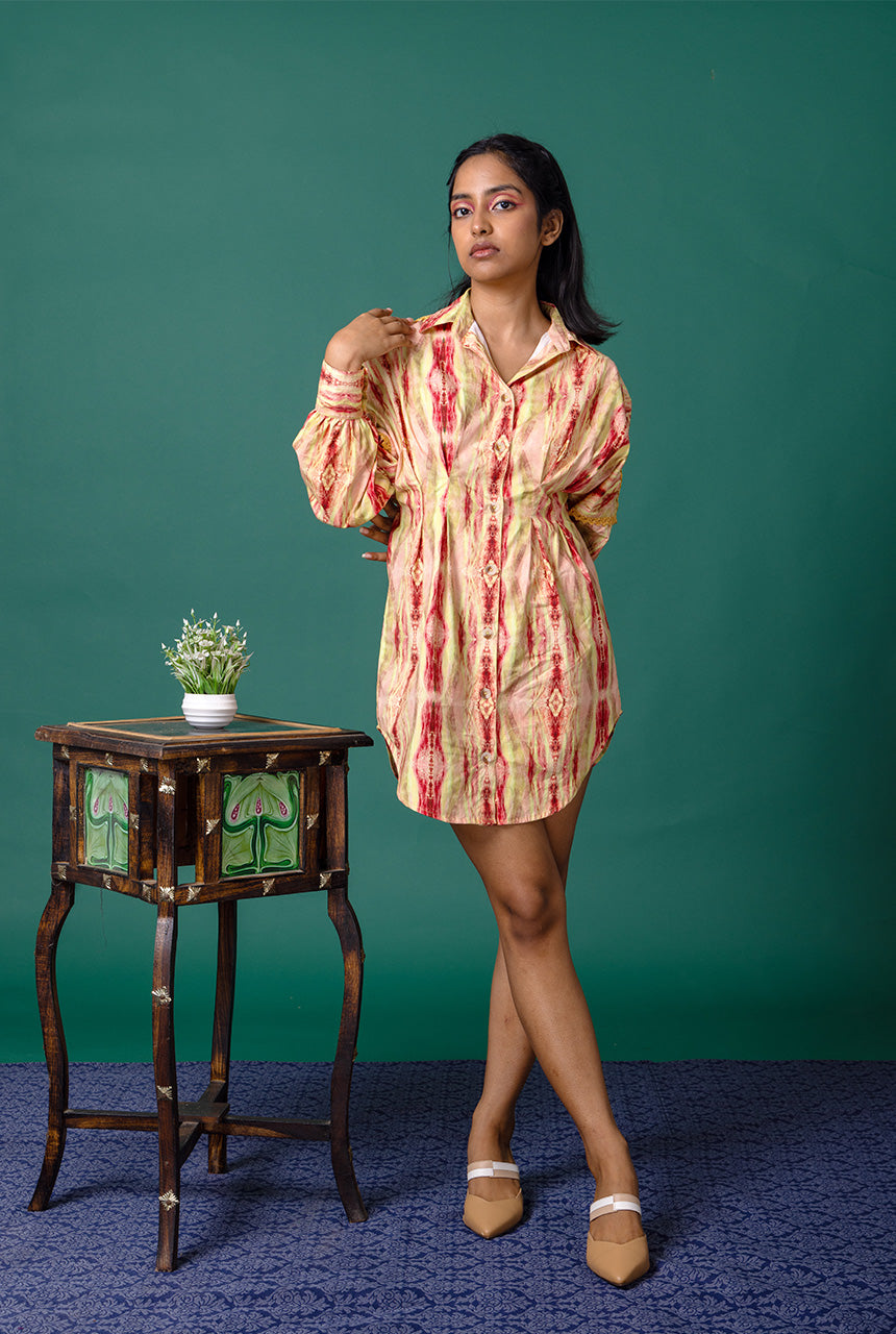 Auroral Shirt Dress