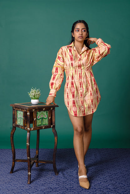 Auroral Shirt Dress