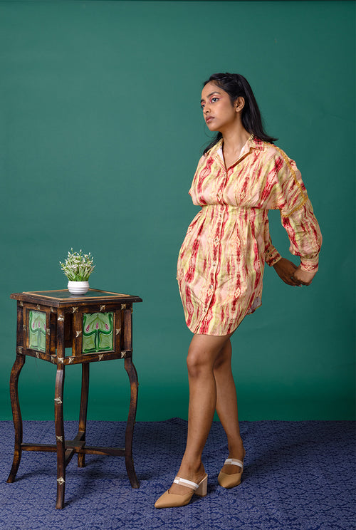 Auroral Shirt Dress