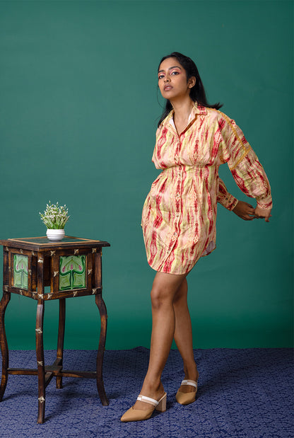 Auroral Shirt Dress