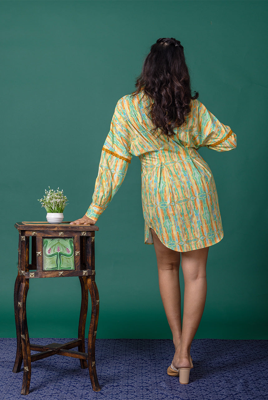 Elysian Shirt Dress