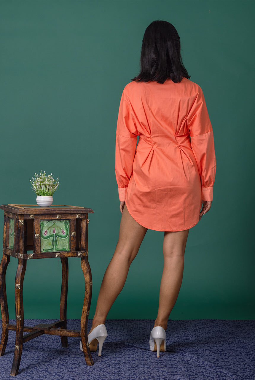 Rose Shirt Dress