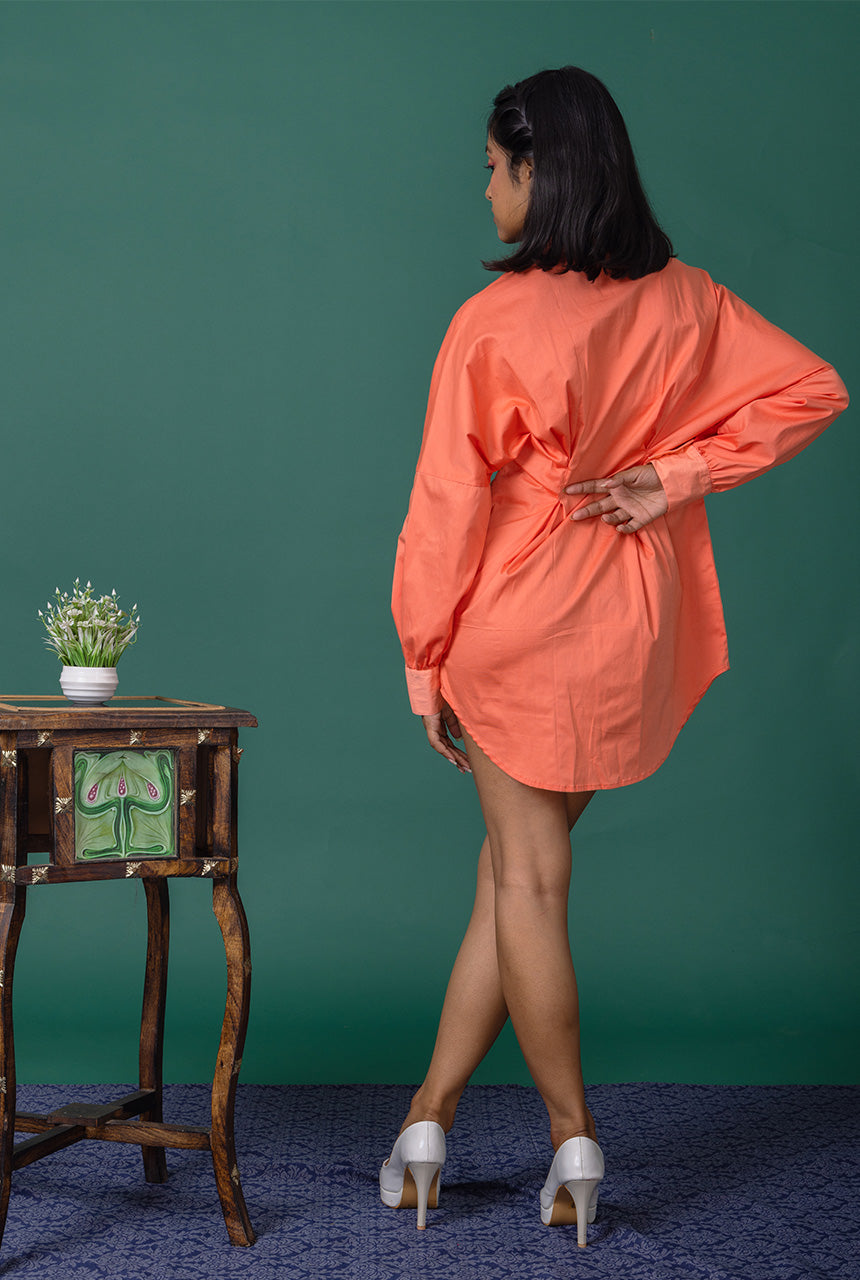 Rose Shirt Dress