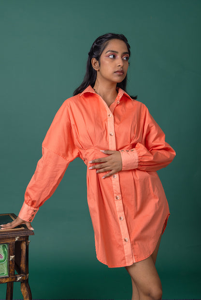 Rose Shirt Dress