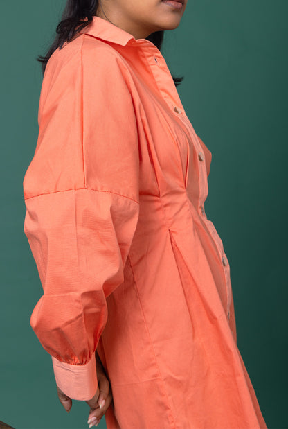 Rose Shirt Dress