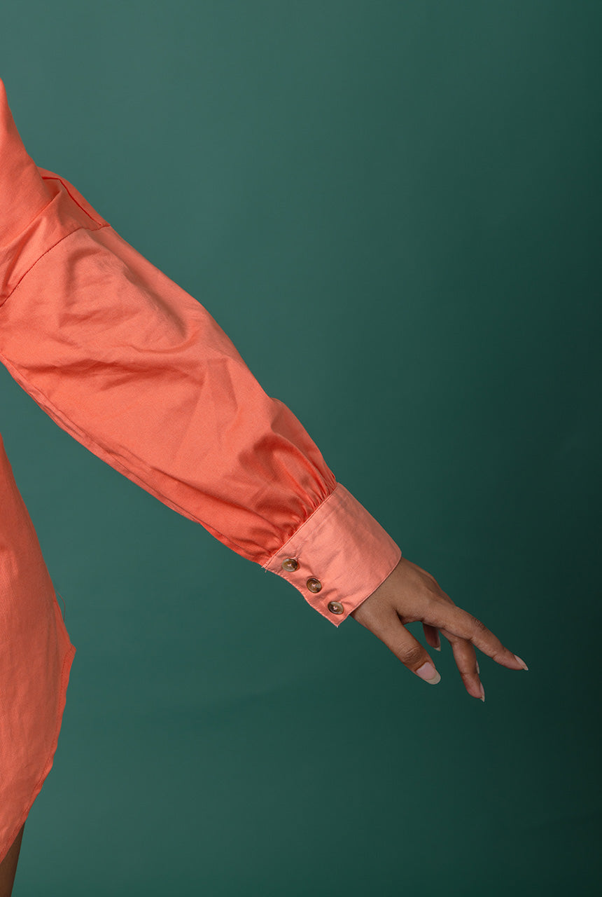 Rose Shirt Dress