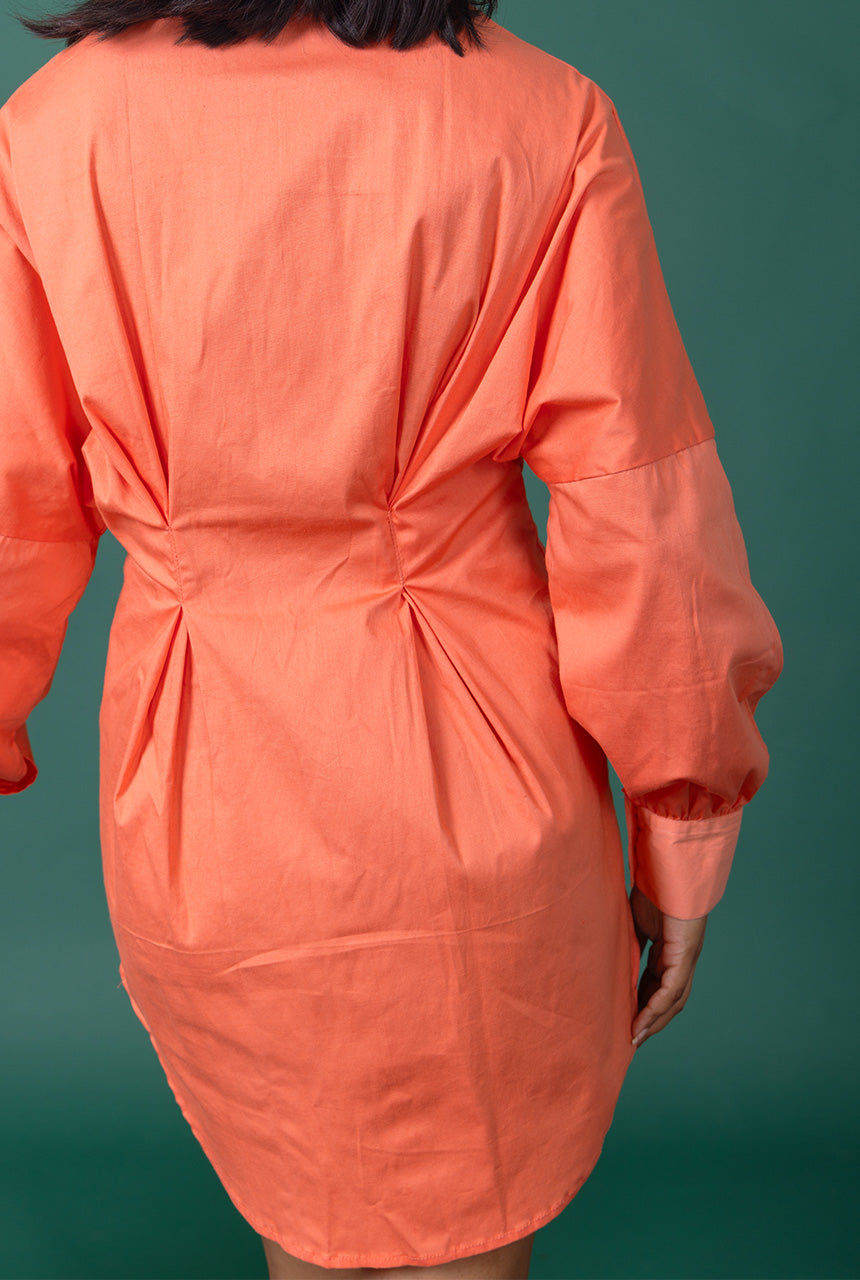 Rose Shirt Dress