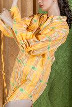 Nectarine Shirt Dress