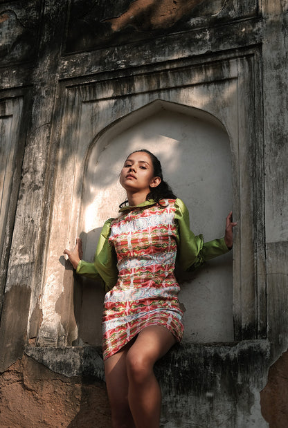 Sourish Dress